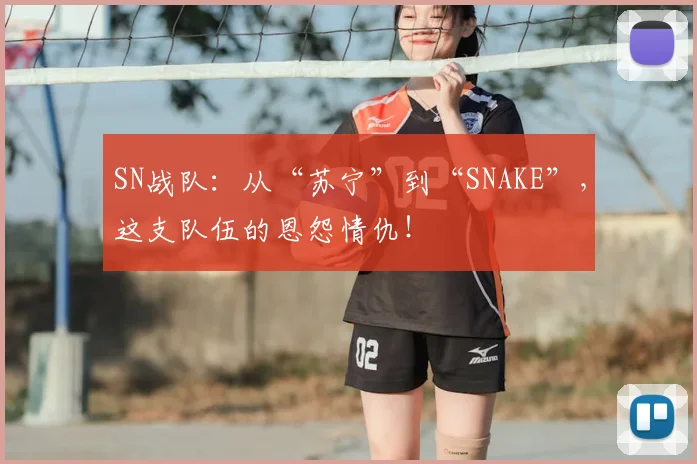 SN战队:从“苏宁”到“SNAKE”,这支队伍的恩怨情仇!
