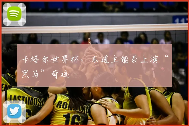 卡塔尔世界杯,东道主能否上演“黑马”奇迹