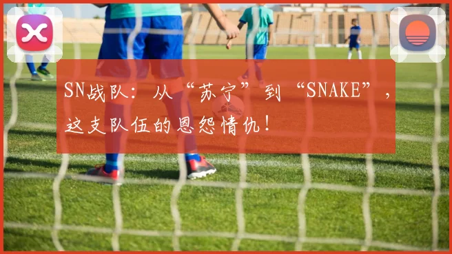 SN战队：从“苏宁”到“SNAKE”，这支队伍的恩怨情仇！